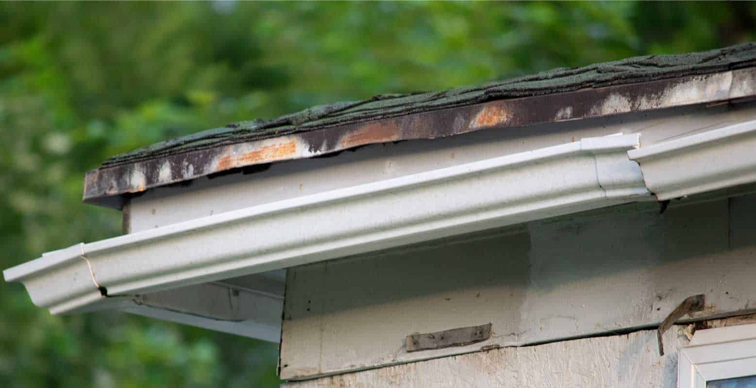 Gutter-replacement-service